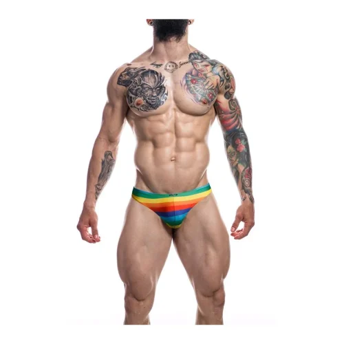 DISC*C4M Low Rise Bikini Brief-Rainbow-L