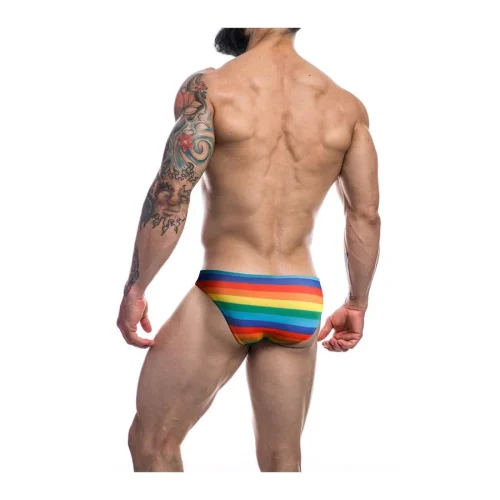 DISC*C4M Low Rise Bikini Brief-Rainbow-L