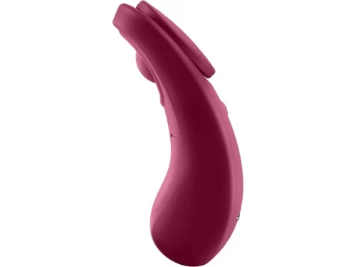 Vibrador satisfyer sexy secret panty