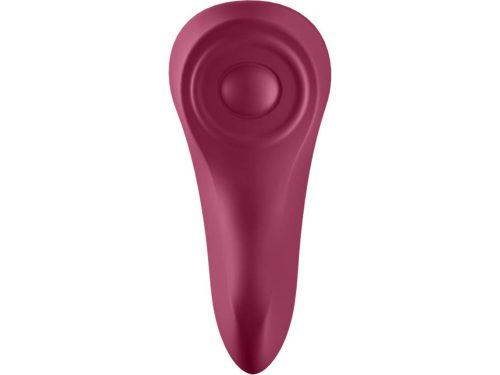 Vibrador satisfyer sexy secret panty