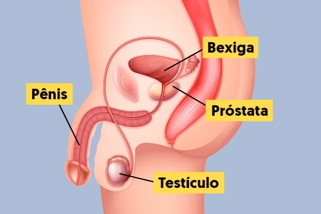img picantte Massagem de Próstata: os benefícios a para saúde masculina